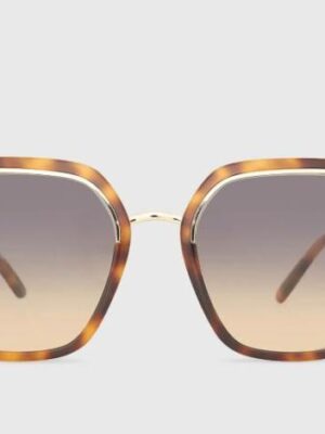 Janice - Memphis Tortoise